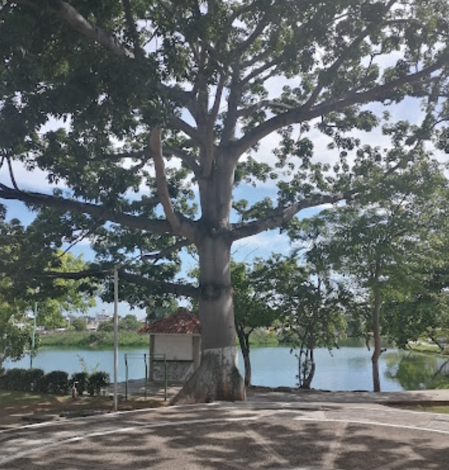 Parque El Jícaro