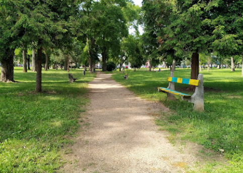 Rózsa-liget