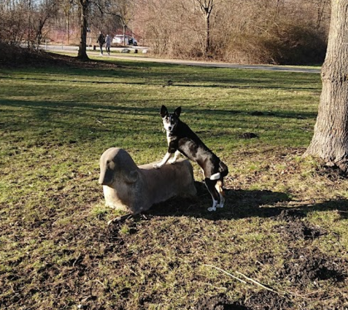 Hundewiese Eschenried