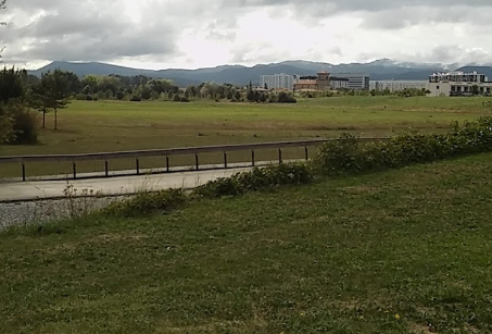 Salburua, txakurrak aske ibiltzeko gunea