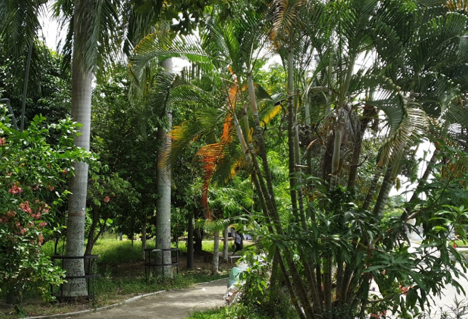 Parque de Coviba