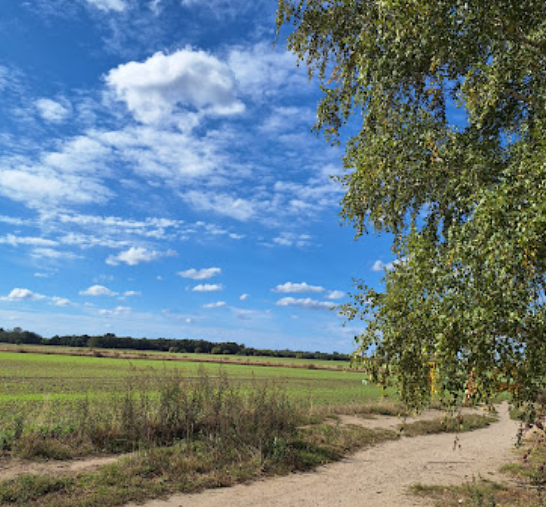 Diedersdorfer Heide und Großbeerener Graben