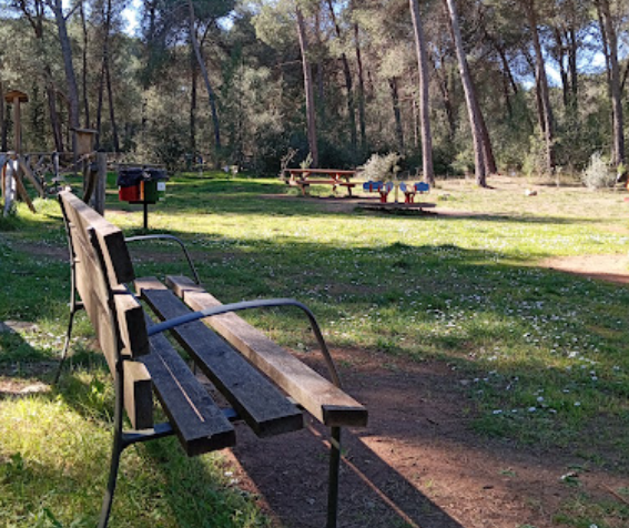 Pineta di Sogliano