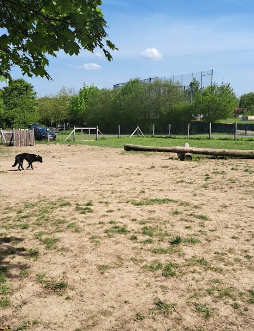 Marxheimer Hundewiese