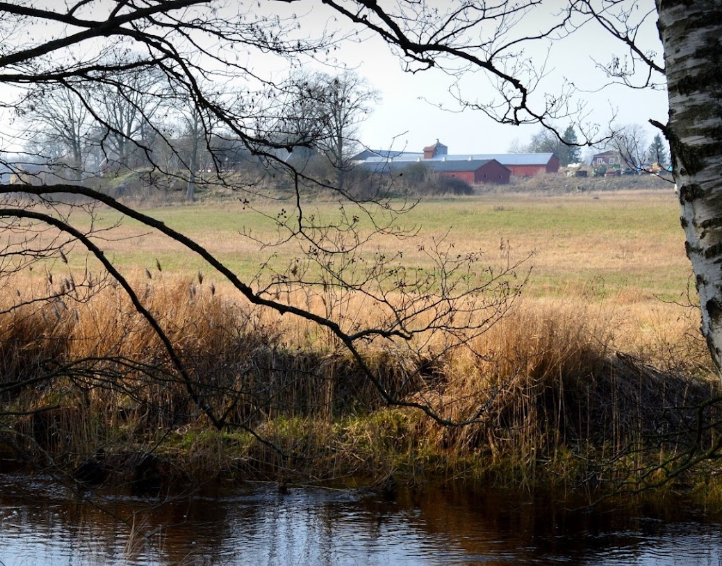 Dammen, Rosenholm