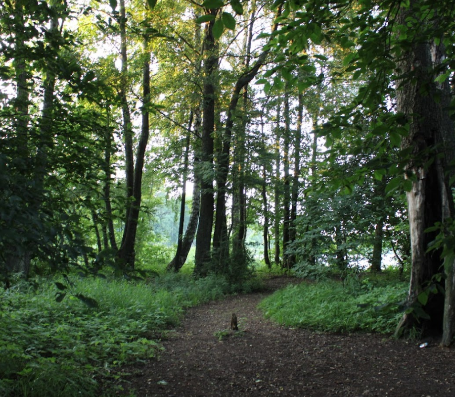Kålgårdsparken