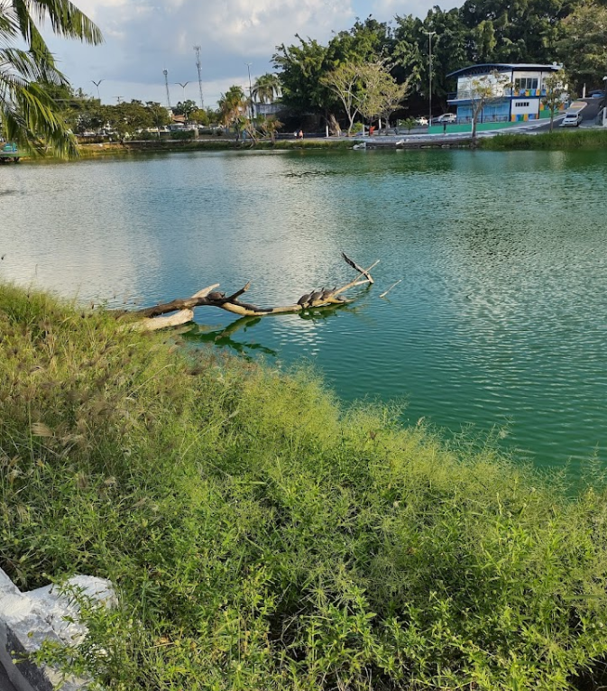 Parque Lagoa Senador Arthur Virgílio Filho