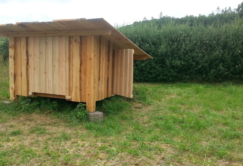 Filshuse Telt- og Shelterplads