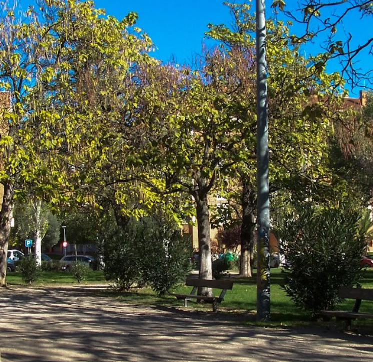 Parque de los Olivos
