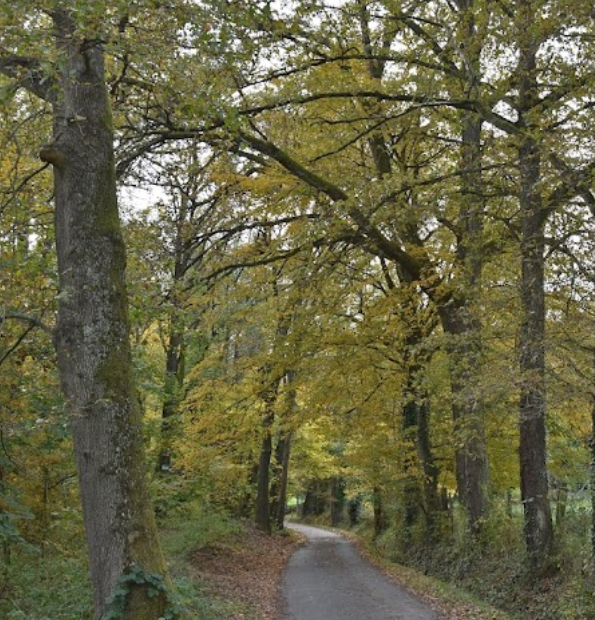 Sentier de l'Yzeron