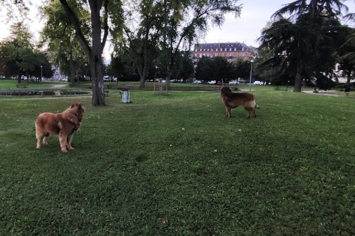 Parc a chien place de Haguenau