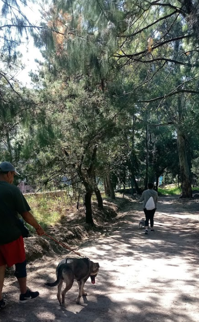 Parque de La Amistad - La Ocotera