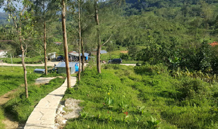 Osmeña Peak