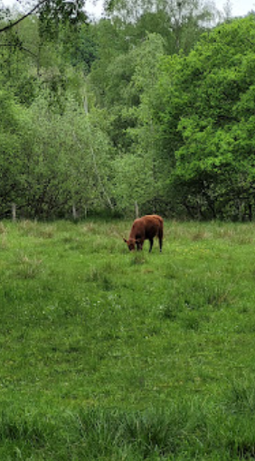 Naturschutzgebiet Volksdorfer Teichwiesen