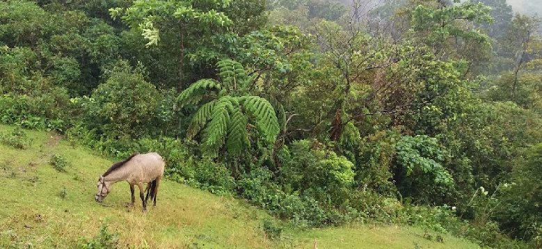 Buruwisan Falls Jump Off Point