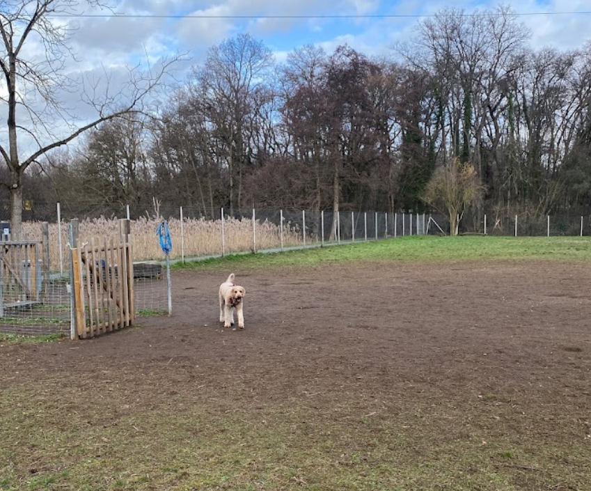 Hundeauslauffläche Kelsterbach