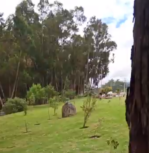 Parque Lineal Yanuncay