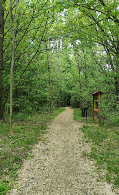 Vilmos Park Kutyafuttató
