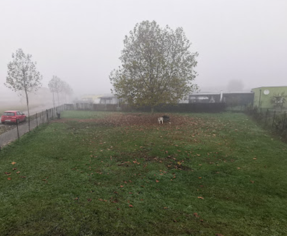 Hundewiese Wagna