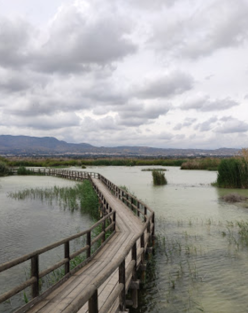 Parque Natural el Hondo