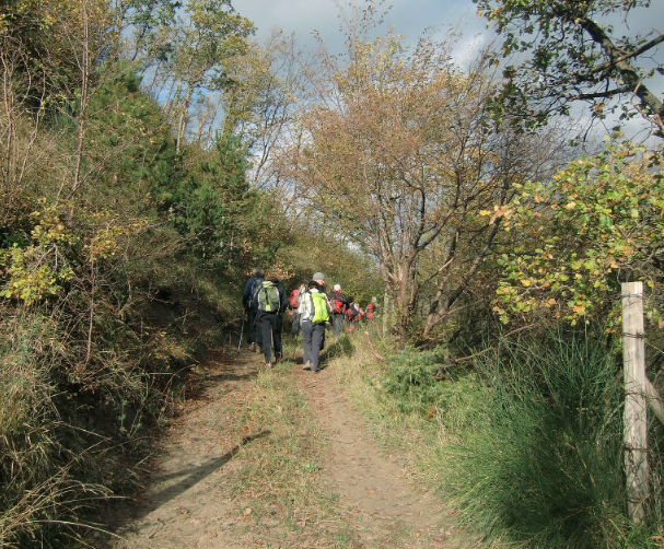 Monte Colombo
