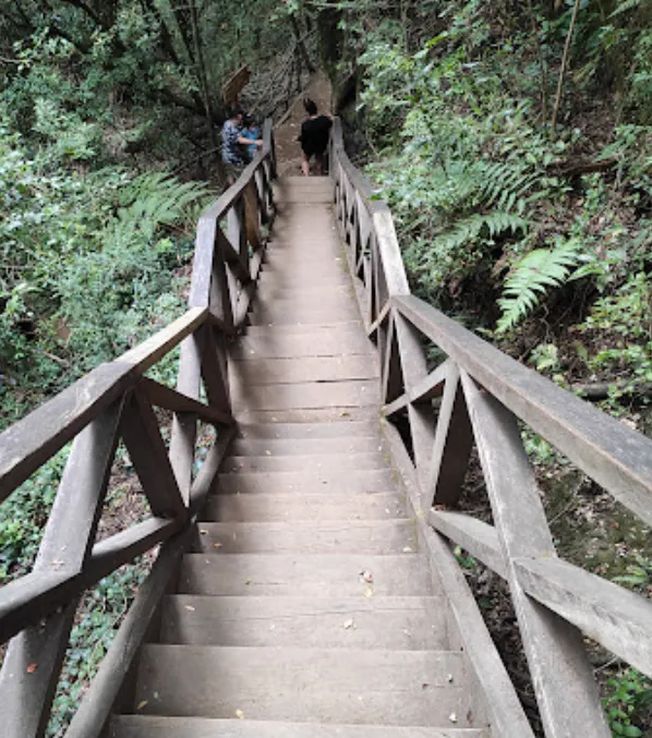 Parque La Isla Salto De La Olla Parkbild