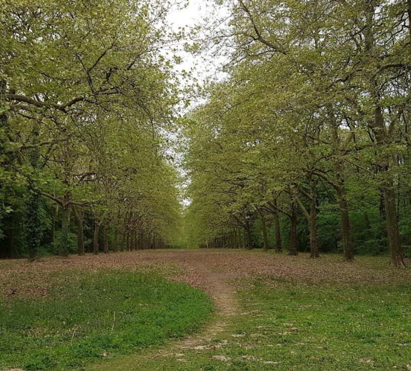Parc de Villeroy