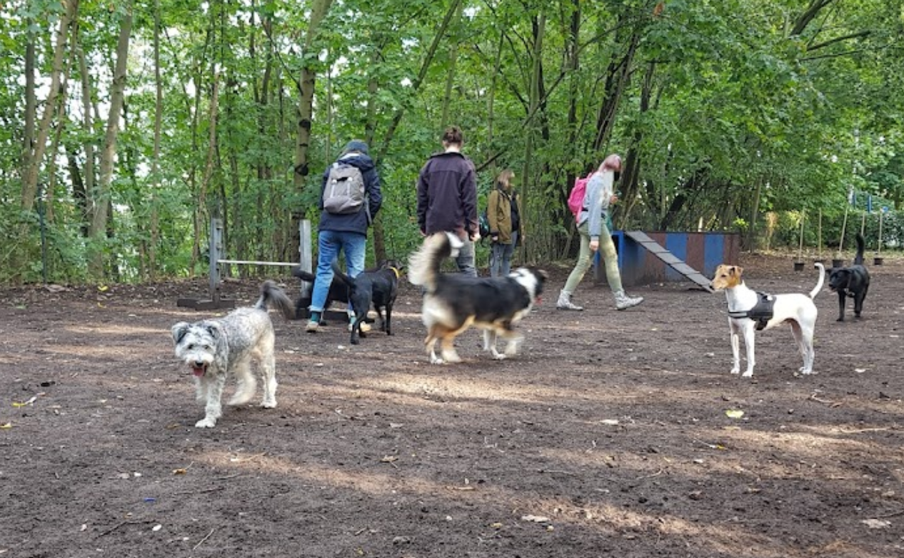 Hundegarten Moabit