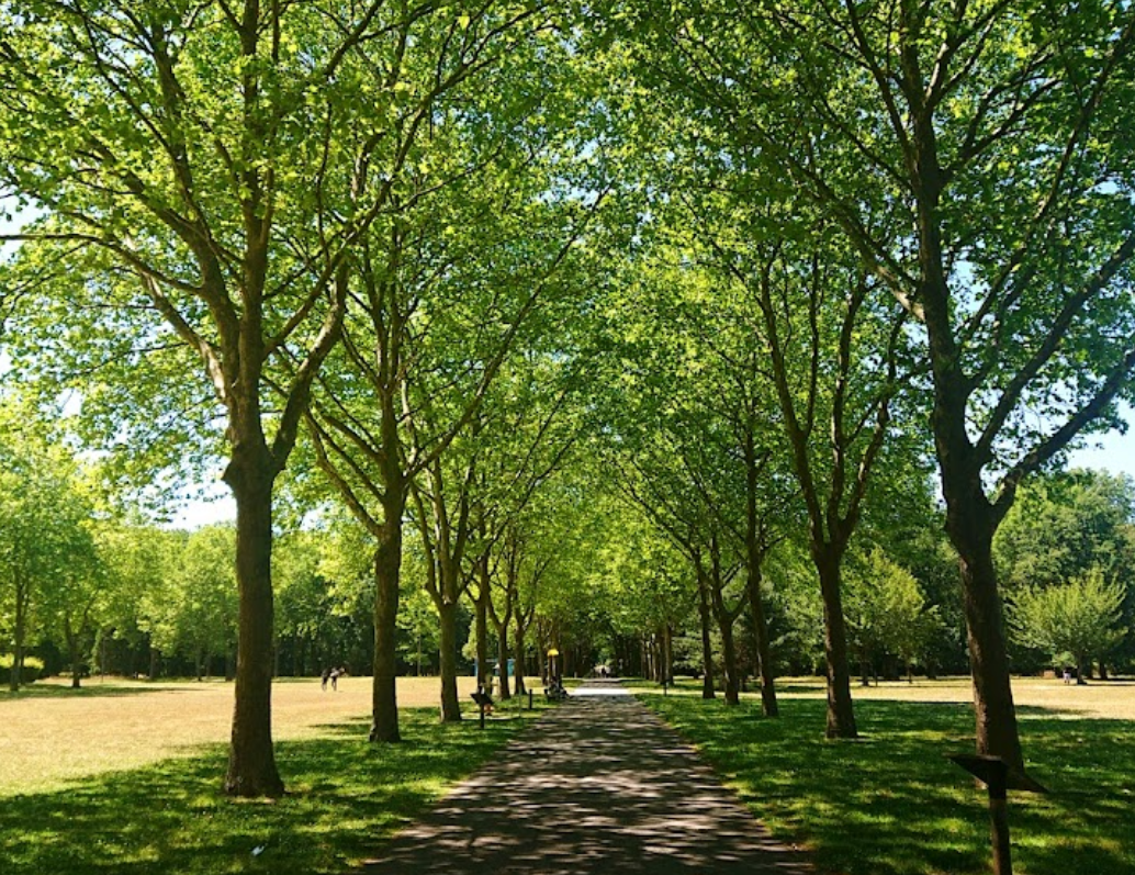 Parc des Coquibus