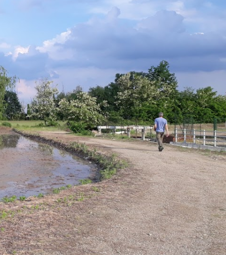 Bosco Est Sesia - Pro Natura Novara