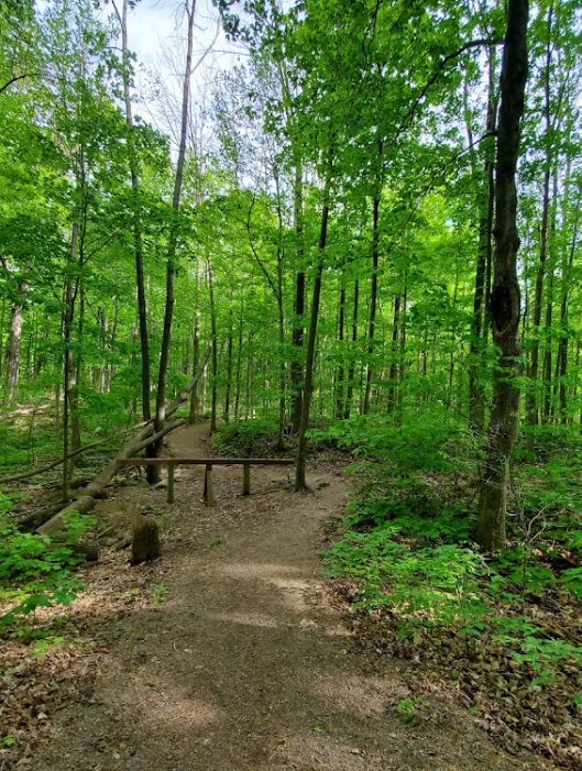 Parc Saint-Édouard