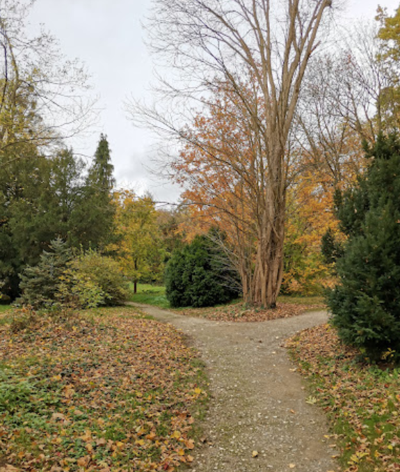 Park Hohenrode