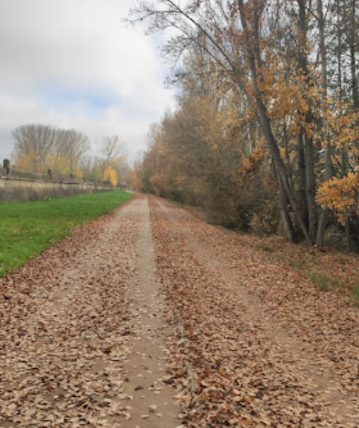 Paseo Papalaguinda
