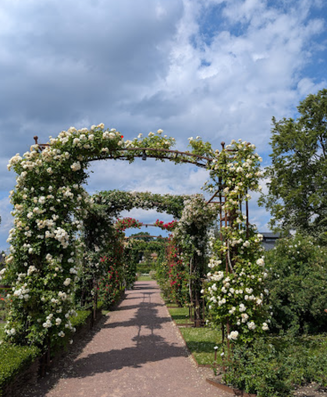 Rosenlund Rosarium