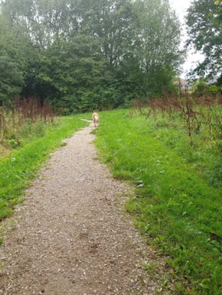 Tranbjerg Skovgårdsvænget Dog Park