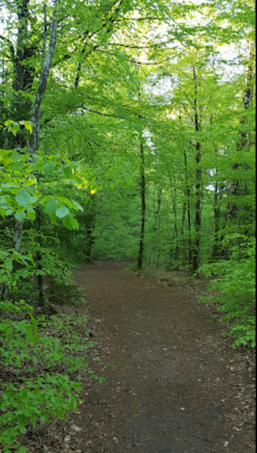 Kobskov Ved Almindsø