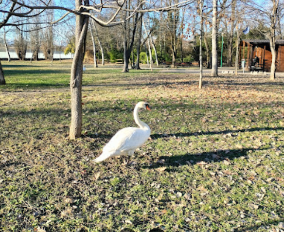 Oasi della speranza