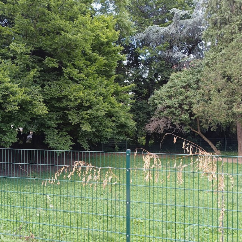 Hundewiese Oeversee Park