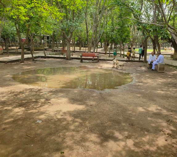 Pakoda Park (DDA PARK)