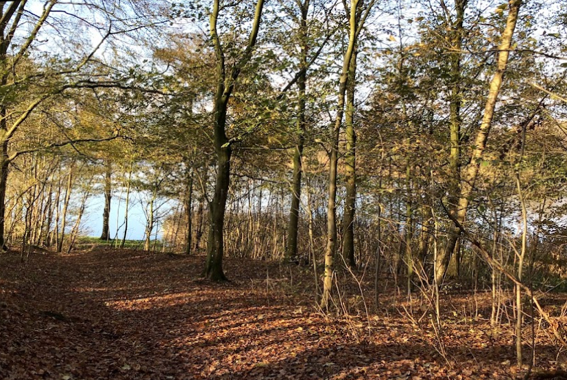Frederikkelund