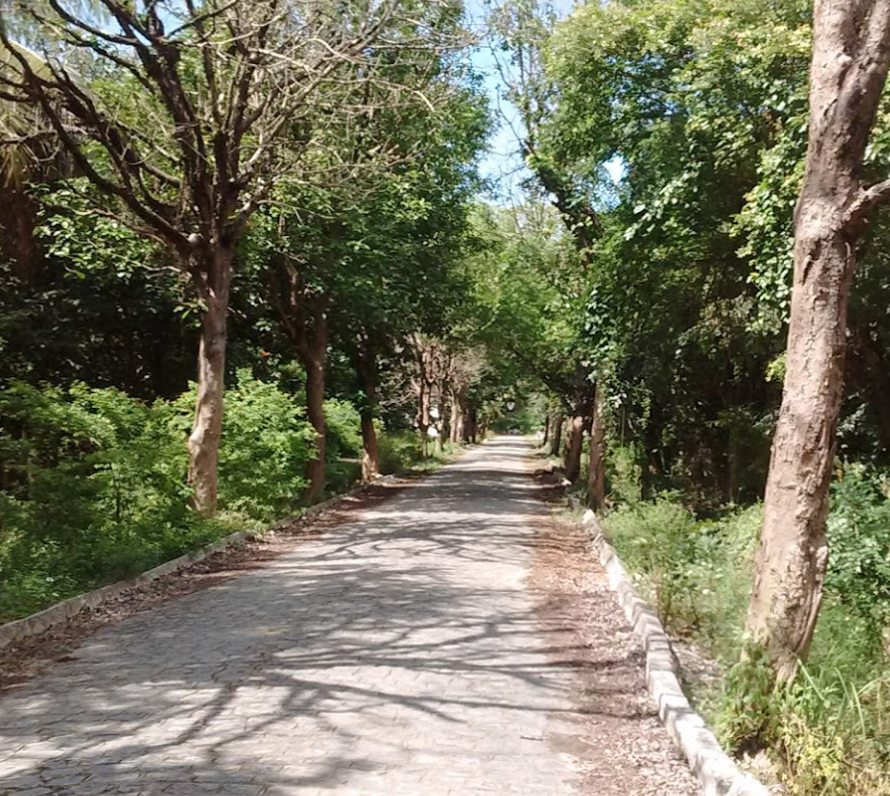 Parque do Jiquiá