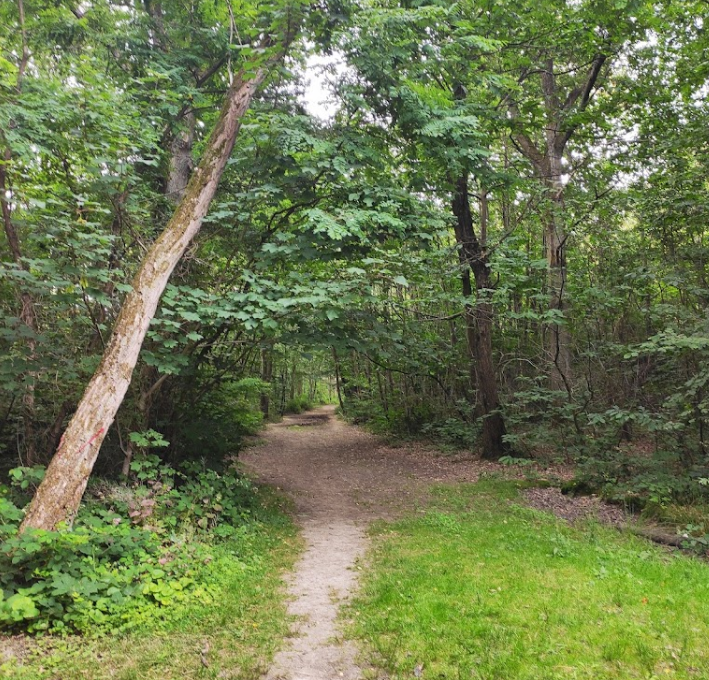 Bois des Trous