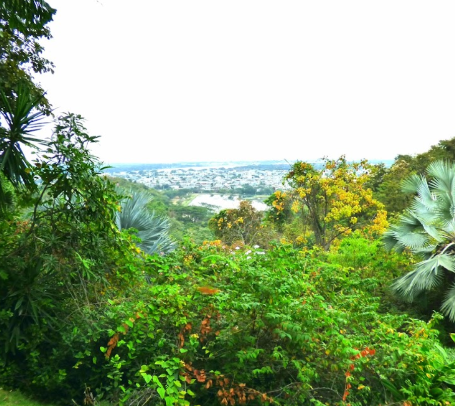 Jardín Botánico