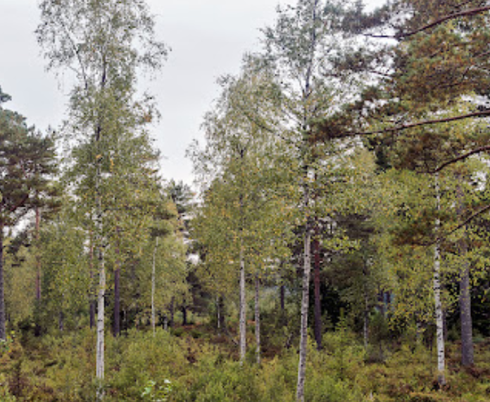 Naturreservat Ånnaboda