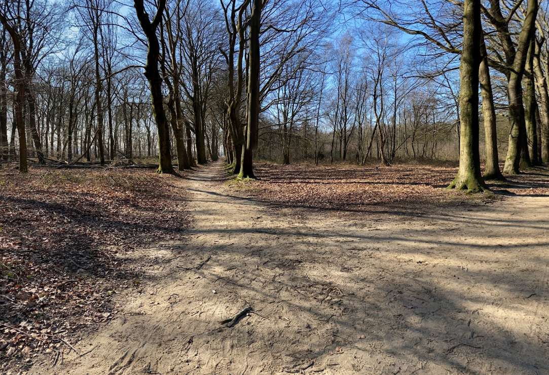 Groot losloop gebied tot Ouwehands dierenpark en helemaal naar beneden