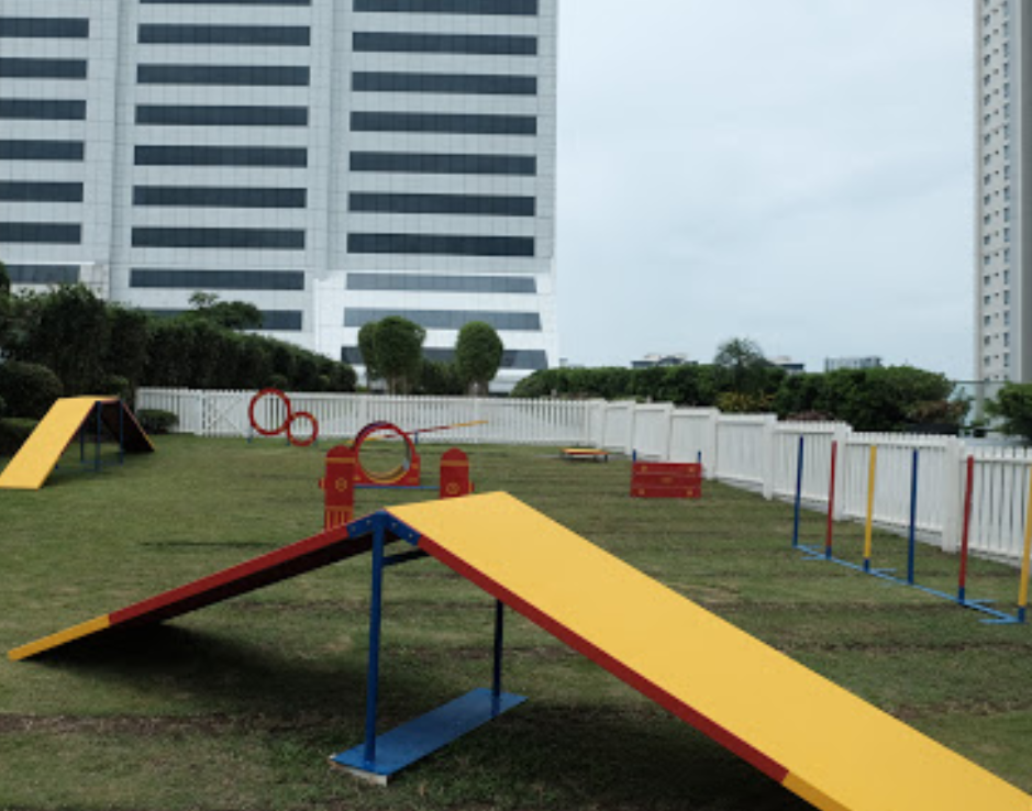 SM AURA SKYPARK DOG RUN