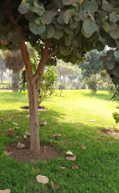 PARQUE "IDENTIDAD NACIONAL"