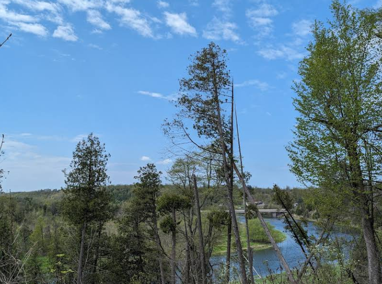 Cherrydale trail