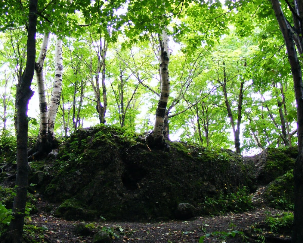 Parc Grand Quevilly