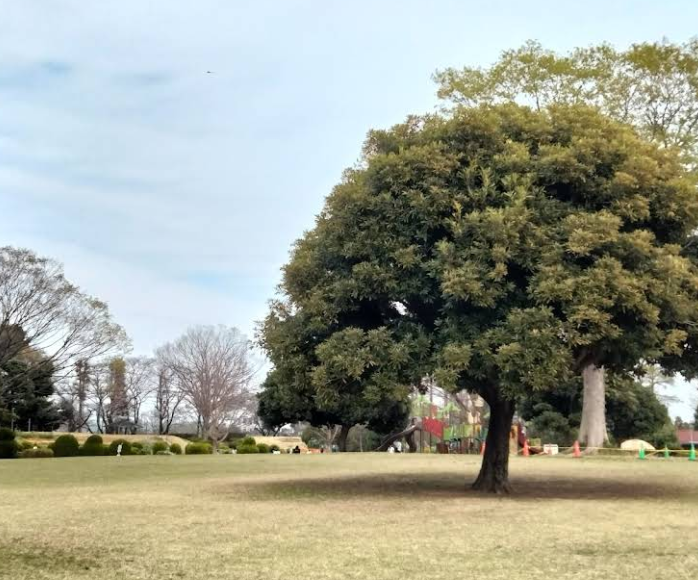 大崎公園